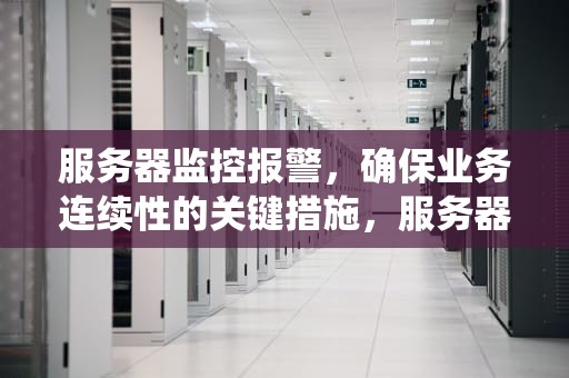 服务器监控报警，确保业务连续性的关键措施，服务器监控报警系统