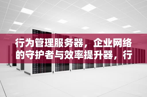行为管理服务器，企业网络的守护者与效率提升器，行为管理服务器作用是什么