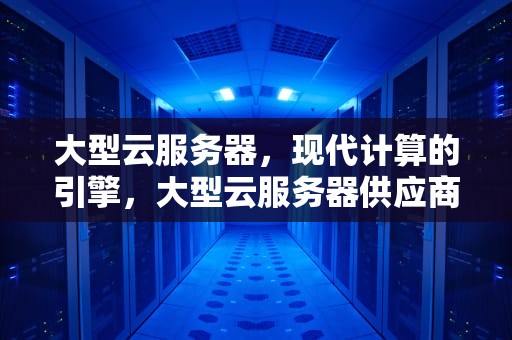 大型云服务器，现代计算的引擎，大型云服务器供应商
