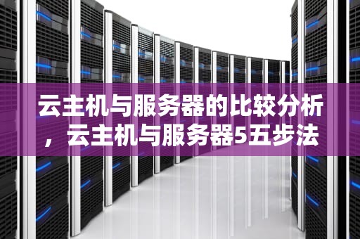 云主机与服务器的比较分析，云主机与服务器5五步法