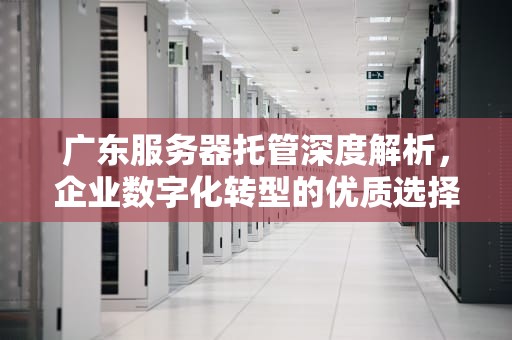广东服务器托管深度解析，企业数字化转型的优质选择，广东服务器托管公司排名