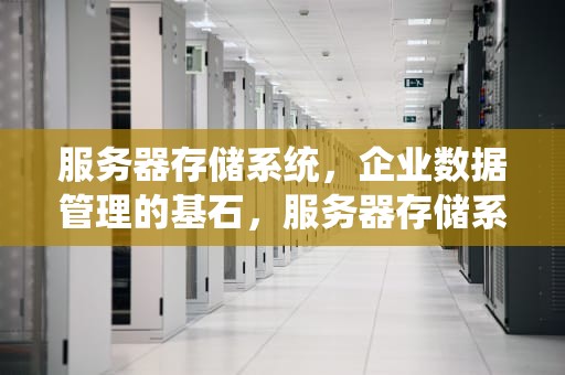 服务器存储系统，企业数据管理的基石，服务器存储系统一般指什么