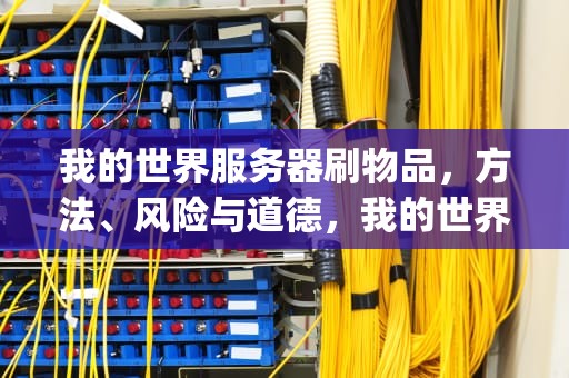 我的世界服务器刷物品，方法、风险与道德，我的世界服务器刷物品bug