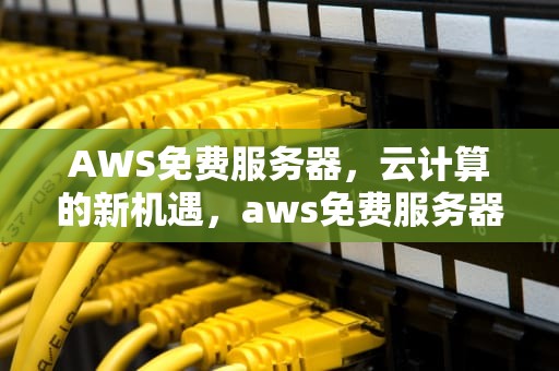 AWS免费服务器，云计算的新机遇，aws免费服务器第二年多少钱