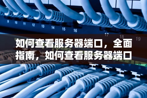 如何查看服务器端口，全面指南，如何查看服务器端口开放情况