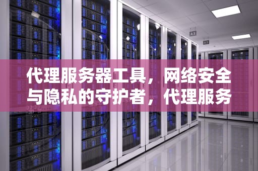代理服务器工具，网络安全与隐私的守护者，代理服务器工具是什么