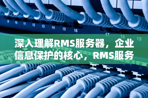 深入理解RMS服务器，企业信息保护的核心，RMS服务器是什么