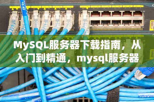 MySQL服务器下载指南，从入门到精通，mysql服务器下载安装