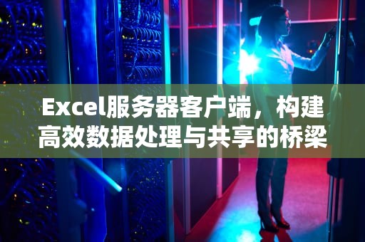 Excel服务器客户端，构建高效数据处理与共享的桥梁，Excel服务器客户端打不开