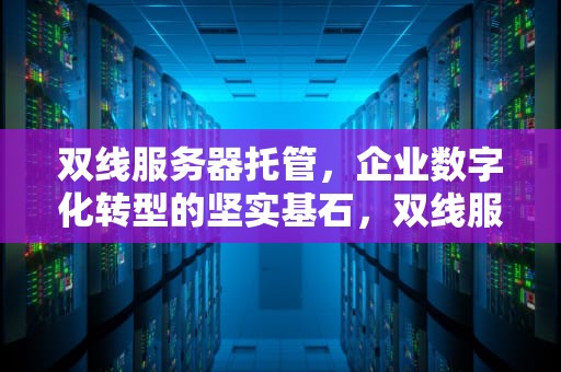 双线服务器托管，企业数字化转型的坚实基石，双线服务器租用托管
