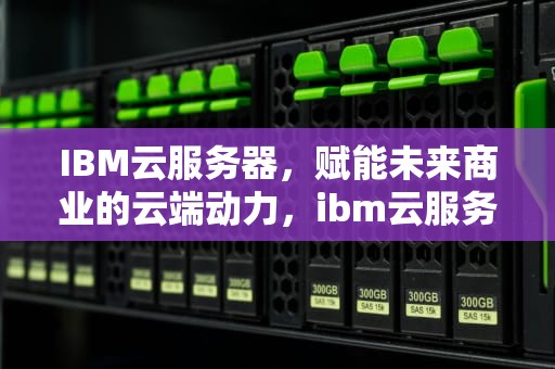 IBM云服务器，赋能未来商业的云端动力，ibm云服务器价格