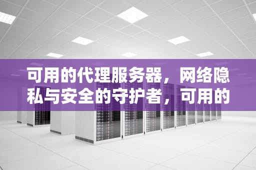 可用的代理服务器，网络隐私与安全的守护者，可用的代理服务器地址