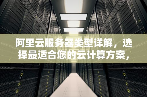 阿里云服务器类型详解，选择最适合您的云计算方案，阿里云服务器类型怎么看