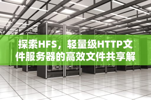 探索HFS，轻量级HTTP文件服务器的高效文件共享解决方案，hfs网络文件服务器如何设置