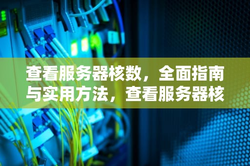 查看服务器核数，全面指南与实用方法，查看服务器核数命令