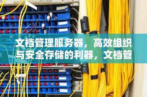 文档管理服务器，高效组织与安全存储的利器，文档管理服务器文件的脱机编辑选项