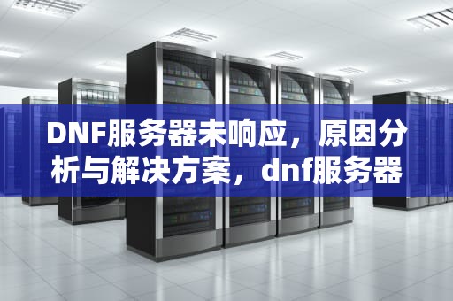 DNF服务器未响应，原因分析与解决方案，dnf服务器未响应不能上网