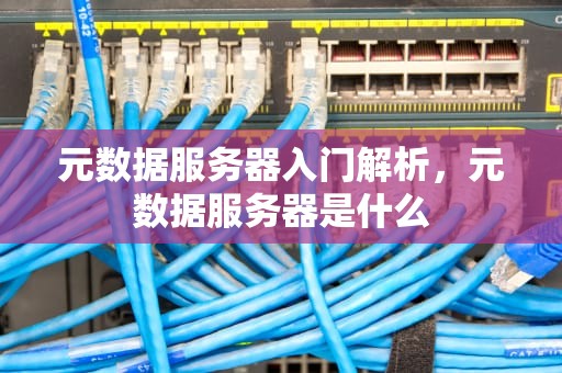元数据服务器入门解析，元数据服务器是什么