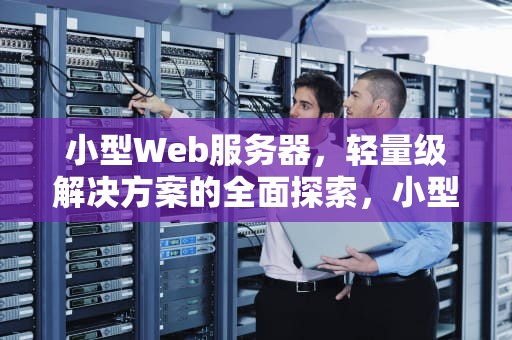 小型Web服务器，轻量级解决方案的全面探索，小型web服务器需要什么配置