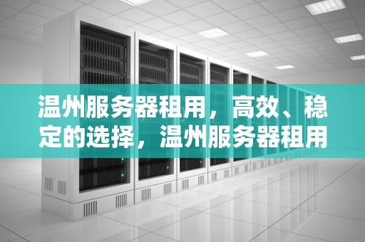 温州服务器租用，高效、稳定的选择，温州服务器租用公司