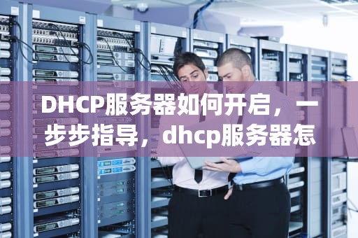DHCP服务器如何开启，一步步指导，dhcp服务器怎么开启外网访问