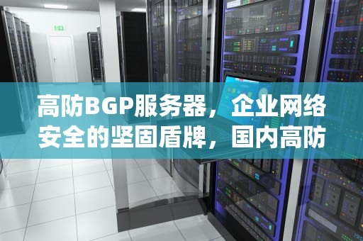 高防BGP服务器，企业网络安全的坚固盾牌，国内高防bgp服务器