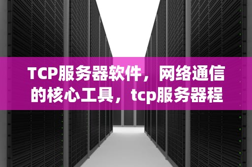 TCP服务器软件，网络通信的核心工具，tcp服务器程序