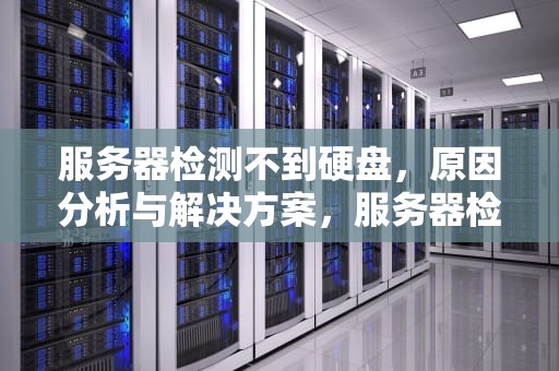 服务器检测不到硬盘，原因分析与解决方案，服务器检测不到硬盘怎么办