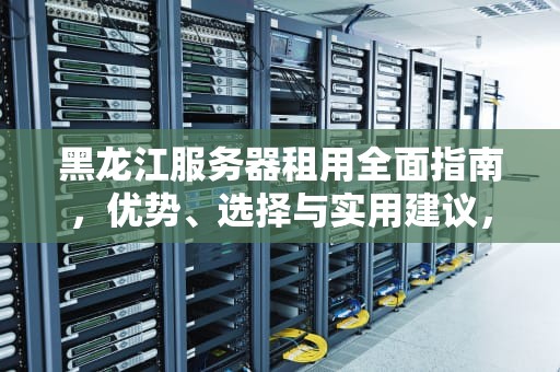 黑龙江服务器租用全面指南，优势、选择与实用建议，黑龙江服务器租用公司