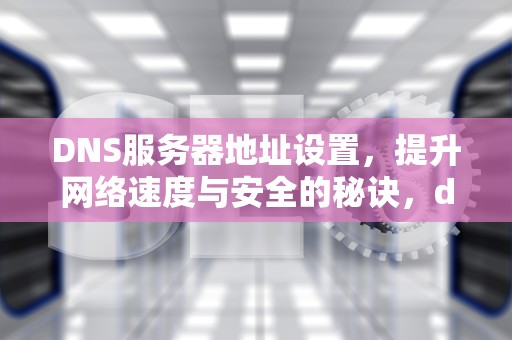 DNS服务器地址设置，提升网络速度与安全的秘诀，dns的服务器地址设置为多少