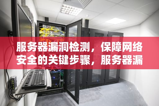 服务器漏洞检测，保障网络安全的关键步骤，服务器漏洞检测方法