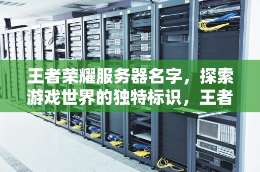 王者荣耀服务器名字，探索游戏世界的独特标识，王者荣耀服务器名字大全