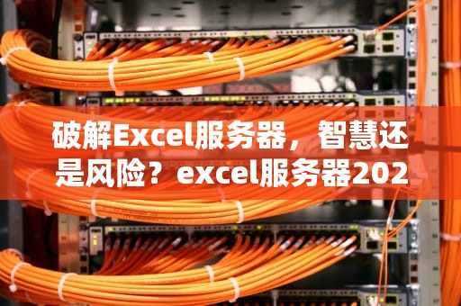 破解Excel服务器，智慧还是风险？excel服务器2020破解