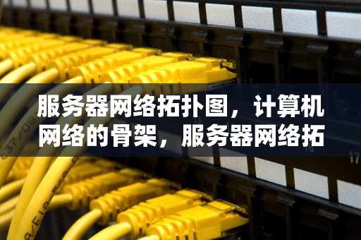 服务器网络拓扑图，计算机网络的骨架，服务器网络拓扑图查询