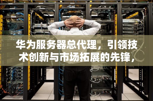 华为服务器总代理，引领技术创新与市场拓展的先锋，华为服务器总代理是谁