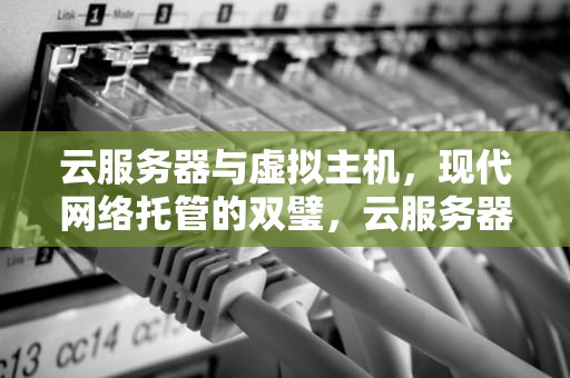 云服务器与虚拟主机，现代网络托管的双璧，云服务器和虚拟主机的区别