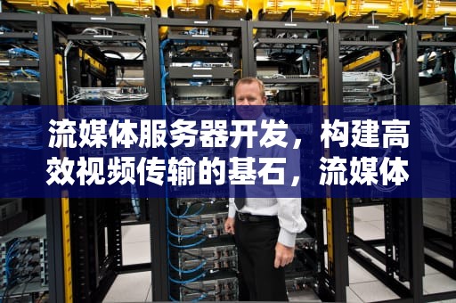 流媒体服务器开发，构建高效视频传输的基石，流媒体服务器开发需要哪些技能