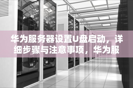 华为服务器设置U盘启动，详细步骤与注意事项，华为服务器设置u盘启动项