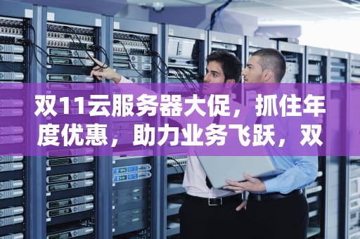 双11云服务器大促，抓住年度优惠，助力业务飞跃，双11云服务器活动