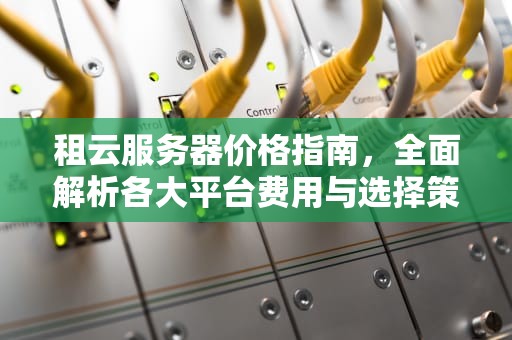 租云服务器价格指南，全面解析各大平台费用与选择策略，租云服务器价格一览表