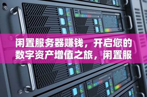 闲置服务器赚钱，开启您的数字资产增值之旅，闲置服务器赚钱项目