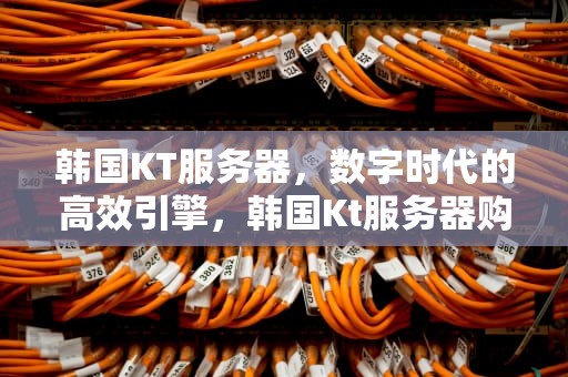 韩国KT服务器，数字时代的高效引擎，韩国Kt服务器购买