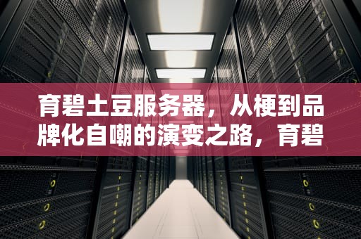 育碧土豆服务器，从梗到品牌化自嘲的演变之路，育碧土豆服务器梗