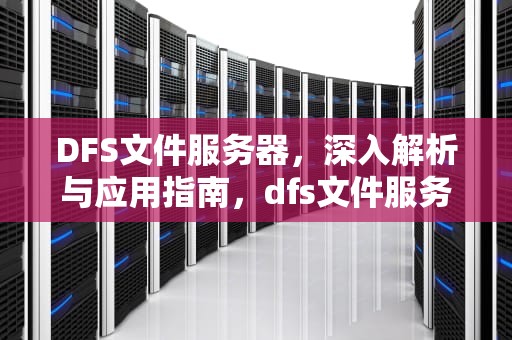 DFS文件服务器，深入解析与应用指南，dfs文件服务器部署