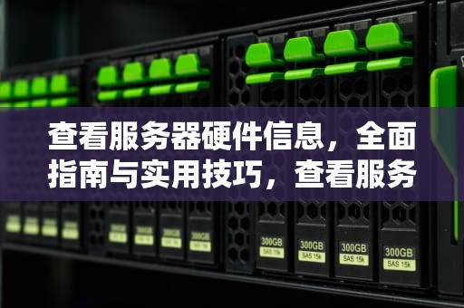 查看服务器硬件信息，全面指南与实用技巧，查看服务器硬件信息的命令有哪些