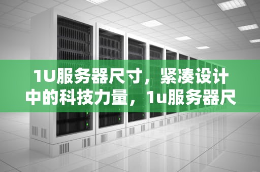 1U服务器尺寸，紧凑设计中的科技力量，1u服务器尺寸长宽高