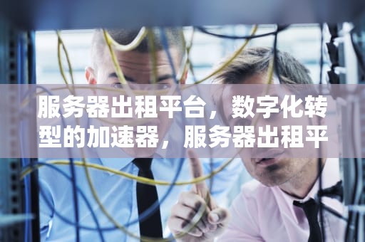 服务器出租平台，数字化转型的加速器，服务器出租平台有哪些