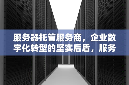 服务器托管服务商，企业数字化转型的坚实后盾，服务器托管服务商有哪些