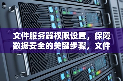 文件服务器权限设置，保障数据安全的关键步骤，文件服务器权限设置有哪些内容
