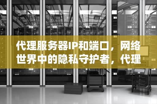 代理服务器IP和端口，网络世界中的隐私守护者，代理服务器ip和端口怎么填